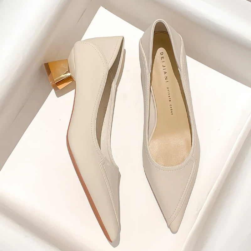 Pointed Toe Block Heel Shoes