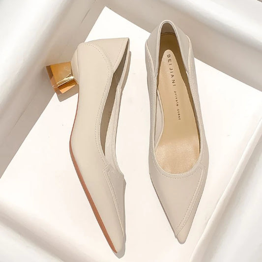 Pointed Toe Block Heel Shoes