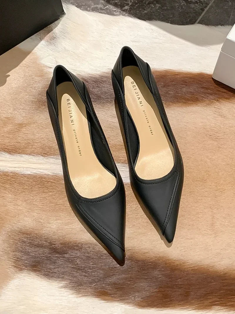 Pointed Toe Block Heel Shoes