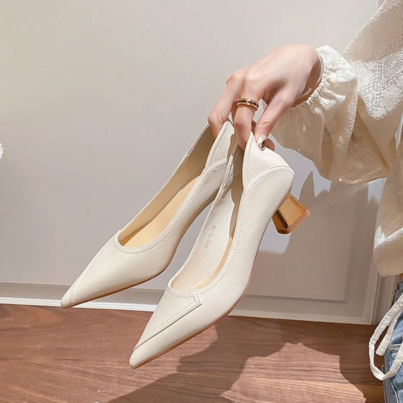 Pointed Toe Block Heel Shoes