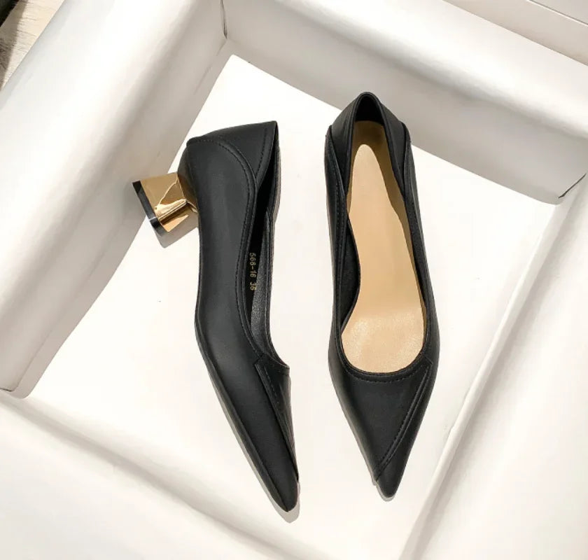 Pointed Toe Block Heel Shoes