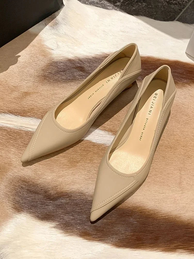 Pointed Toe Block Heel Shoes
