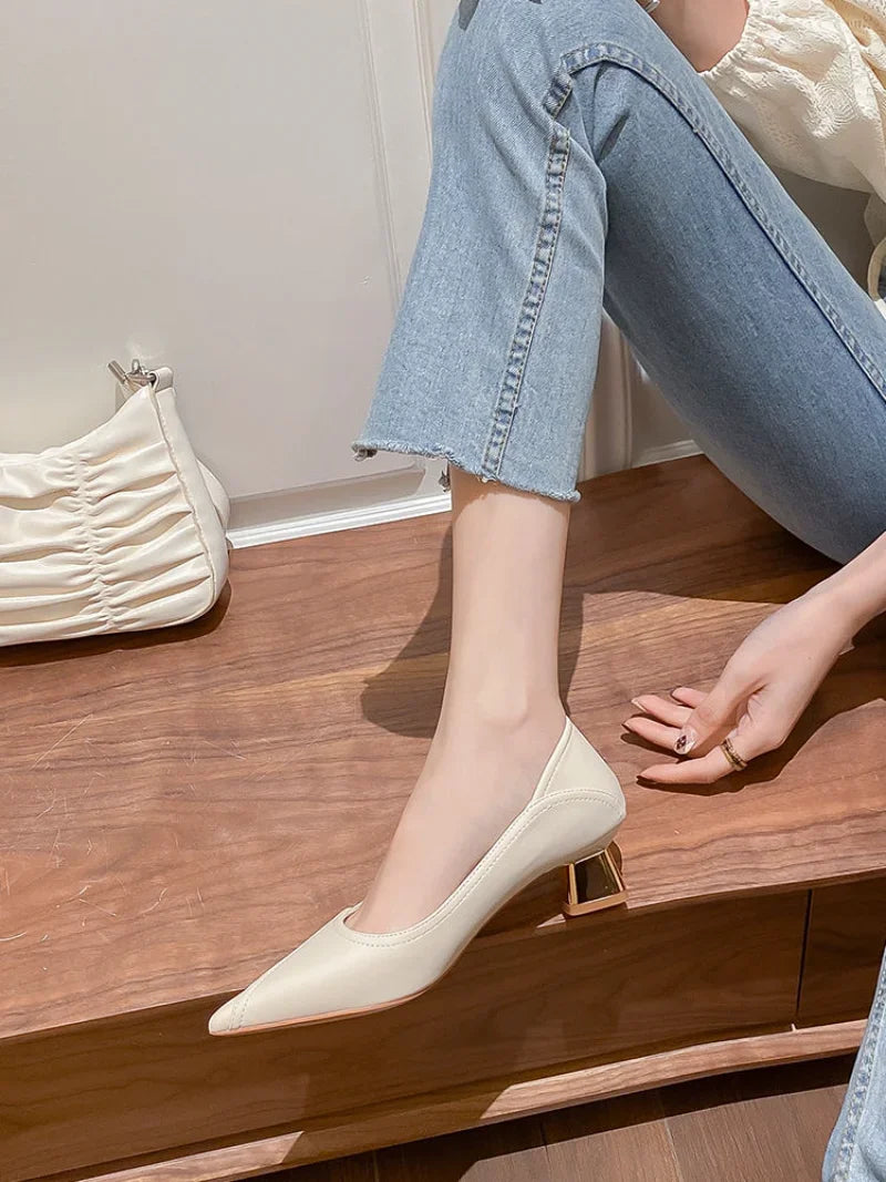 Pointed Toe Block Heel Shoes