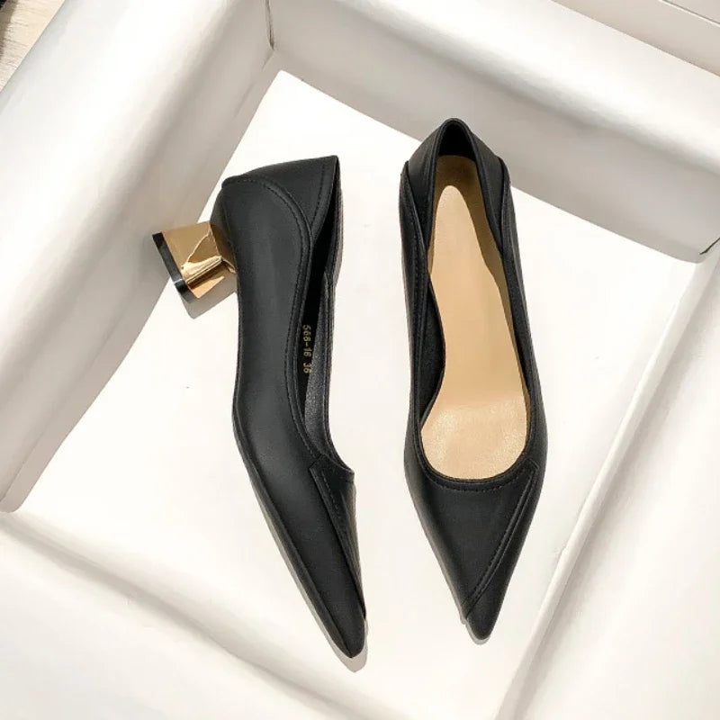 Pointed Toe Block Heel Shoes